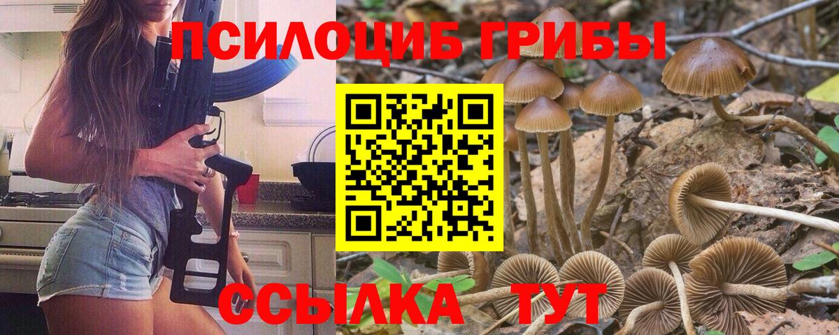 Псилоцибиновые грибы Psilocybe Спасск-Дальний